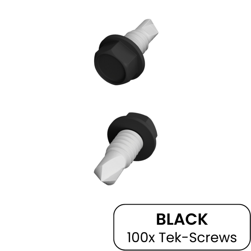 FastFixings TekScrews | 12Gx20 Black 100Pack